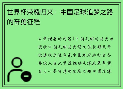 世界杯荣耀归来：中国足球追梦之路的奋勇征程